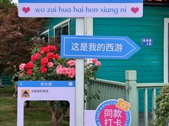 -荷兰花海