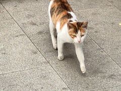 -真功夫(高埗店)