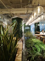 -悦诗风吟innisfree