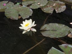 -葛子涧农家宴