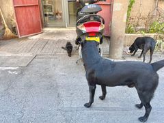 -19号私房菜(云南路店)