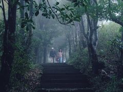 -梧桐山风景名胜区