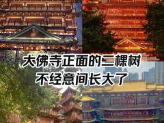 -大佛古寺