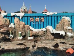 -杭州长乔极地海洋公园