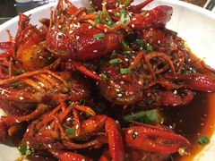 -不炭白烧烤(成都首店)