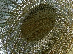 -天津津利华酒店