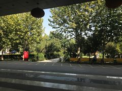 院子-康梦圆国际老年公寓