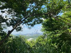 -梧桐山风景名胜区