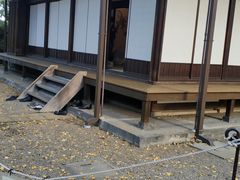 -东京国立博物馆