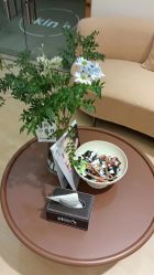 -skin79皮肤管理中心