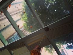 iphone_upload_pic-燕庭·纯燕窝·甜品下午茶(南京西路店)
