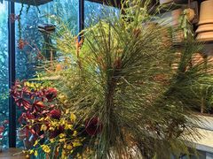 -自由生长植物工作室(深港花卉中心店)