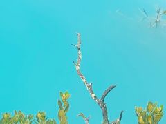 -玉龙雪山蓝月谷