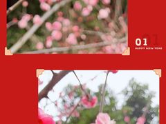 -重庆彩云湖湿地公园