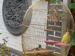 -悦真雅院·四合院·清真私房菜(雍和宫店)