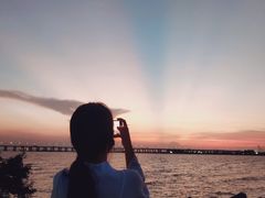 -宝安西湾红树林湿地公园