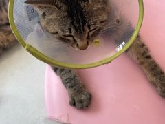 -美联众合动物医院·24h京西诊疗中心