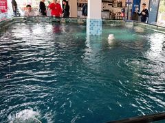 -SHRIMP CLUB万东餐饮钓虾·清吧