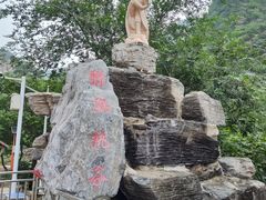 -大岭沟猕猴桃谷风景区