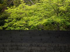 -中山公园(石岐街道)