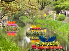 -上海共青森林公园