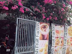 -Fresh Fruit Factory - Fruit Cuisine Restaurant