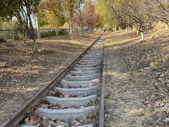 -永定河休闲森林公园