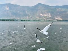 -滇池海埂公园