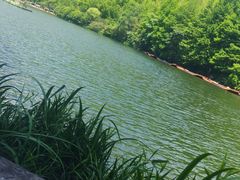 -天目湖山水园