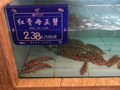 -国惠大酒楼(宝龙店)