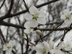 -白水寺森林公园