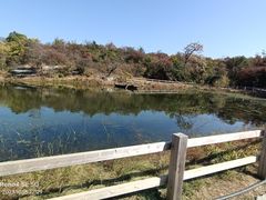 -周口店坡峰岭风景区