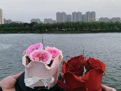 -宏发园动物奶油生日蛋糕(先锋路店)