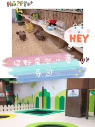 -绿野星空儿童乐园