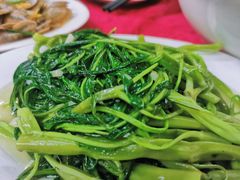 蒜蓉菜心-蛇口康乐快餐鱼仔档(翠苑小区店)