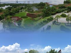 -芒洲湿地公园