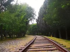 -中国航空博物馆