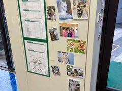 -爱妮康宠物医院·干细胞免疫细胞·肿瘤·心脏(张江店)