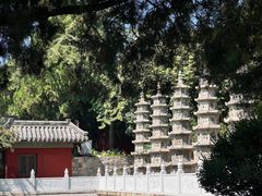 -泰山风景名胜区-普照寺