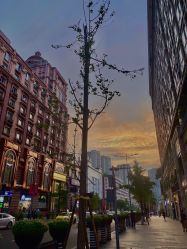 -不迫先生专业男士剪发