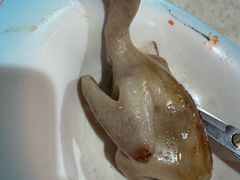-石岐乳鸽村(南海第三分店)