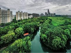-新江湾城公园