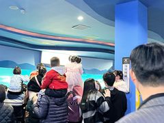 -苏州海洋馆