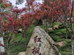 -广州市帽峰山景区