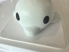 -抱抱地球咖啡馆(国家海洋博物馆店)