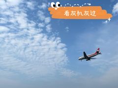 -空港花田景区