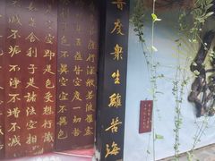 -峨眉山报国寺