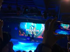 -石家庄海洋公园