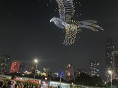 -平安金融中心云际观光层