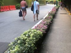 -巴拉湾海滩